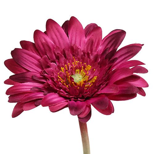 Floristik24 Decorative gerbera dark pink Ø10cm L53cm 6pcs
