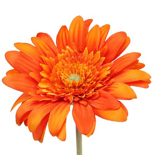 Floristik24 Deco gerbera orange Ø10cm L53cm 6pcs