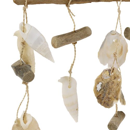 Floristik24 Decorative hanger with shells 19.5cm x 41cm