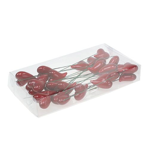Floristik24 Decorative hearts to stick red 5cm 24pcs