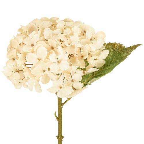 Floristik24 Decorative hydrangeas artificial cream silk flowers 34cm 2pcs
