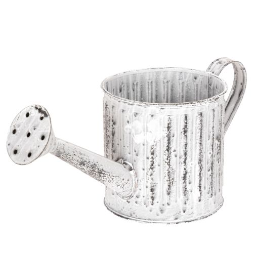 Decorative watering can, planter, watering can for planting Ø10.5cm buy online | Floristik24.ie