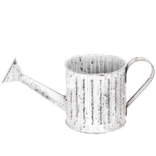 Decorative watering can, planter, watering can for planting Ø10.5cm | Floristik24.ie