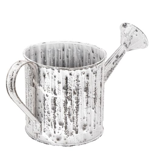 Decorative watering can, planter, watering can for planting Ø10.5cm | Floristik24.ie
