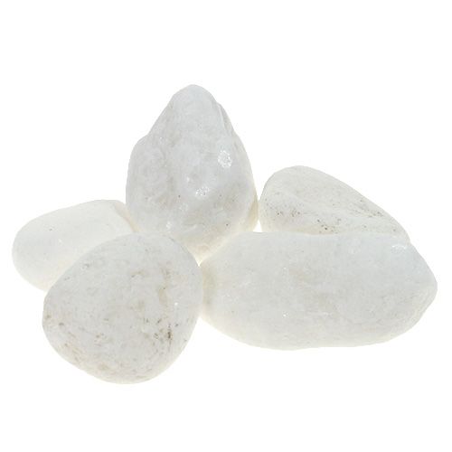 Product Deco pebbles in the net white 1cm - 2.5cm 1kg