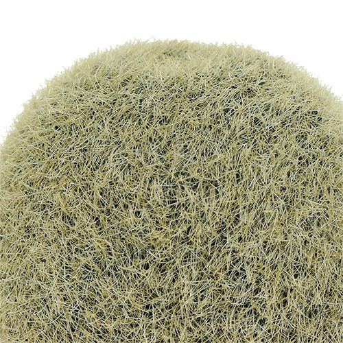 Floristik24 Decorative kiwi 6cm 6pcs