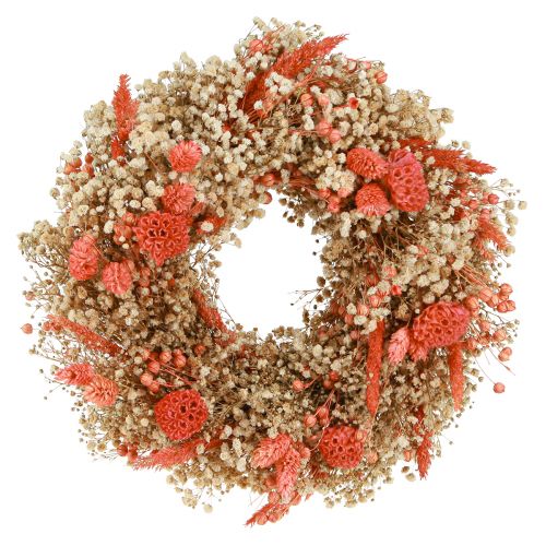Floristik24 Decorative wreath dried flowers flower wreath orange cream Ø25cm