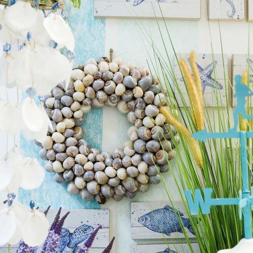 Floristik24 Snail wreath for hanging decorative wreath maritime Nathai Ø35cm