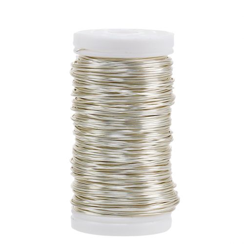Decorative enameled wire champagne Ø0.50mm 50m 100g
