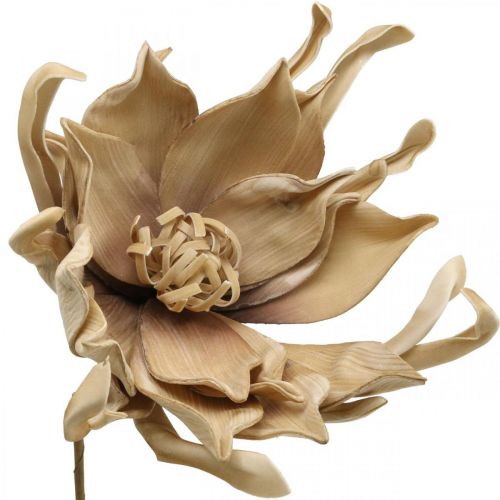Deco lotus flower artificial lotus flower artificial flower beige L68cm