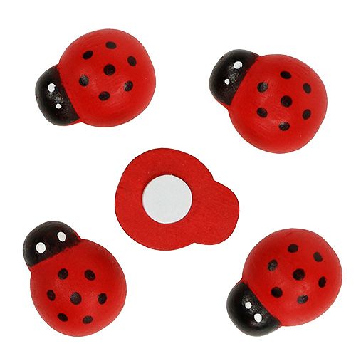 Decorative ladybirds for gluing 2.5cm red 72 pcs