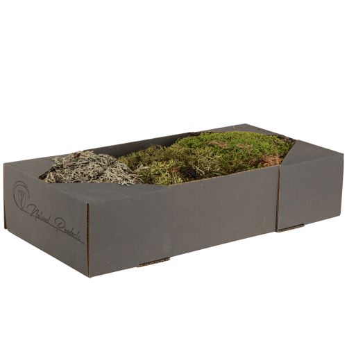 Product Decorative moss – real moss and lichen for floral arrangements 250g