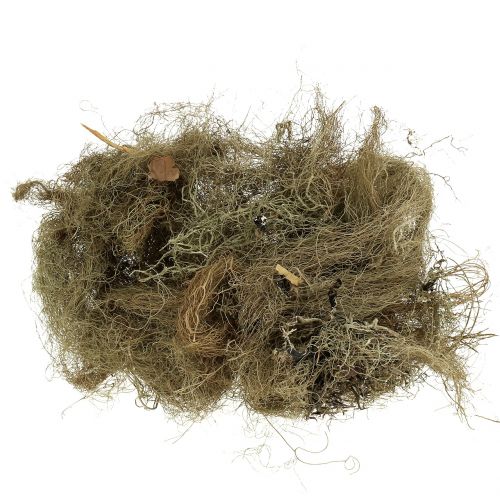 Floristik24 Decorative moss nature for handicrafts 500g