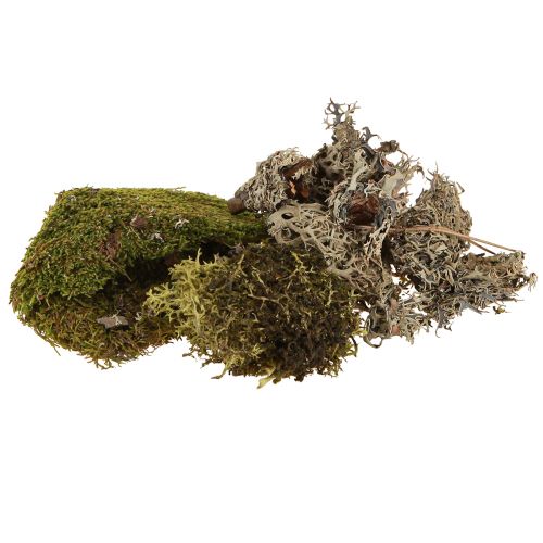 Decorative moss for crafting, mixed green and light green natural moss, 75g