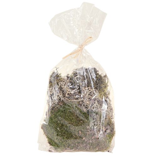 Product Decorative moss for crafting, mixed green and light green natural moss, 75g