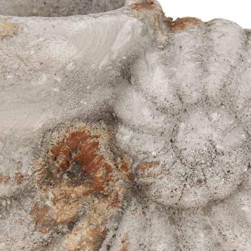 Floristik24 Decorative shell stone look flowerpot 22.5x13.5x13.5cm