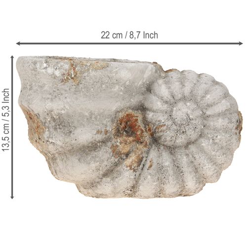 Floristik24 Decorative shell stone look flowerpot 22.5x13.5x13.5cm