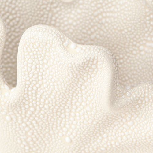 Floristik24 Sea shell Marine mini vase Ceramic Cream 14×7.5×9.5cm