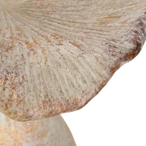 Product Decorative mushroom cast stone autumn decoration gray washed 19×15cm H23cm