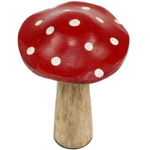 Floristik24 Toadstools made of wood 14cm 6pcs