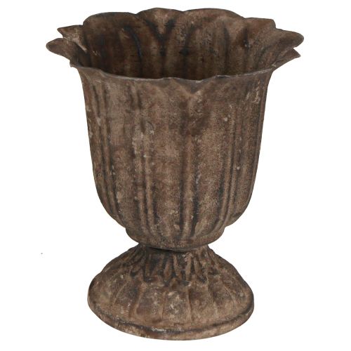 Floristik24 Decorative trophy antique mini plant pot grey brown Ø12cm H13cm