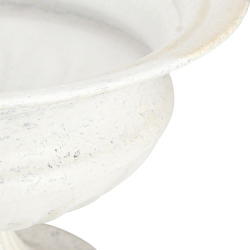 Floristik24 Decorative trophy bowl antique metal trophy white Ø20cm H15cm