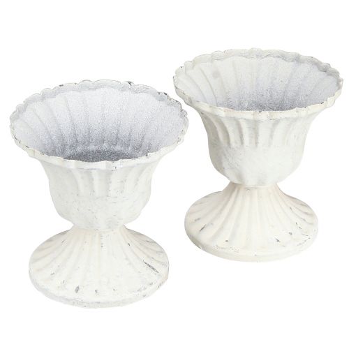 Floristik24 Decorative Cup Shabby Chic Goblet White Ø8cm H8.5cm 2pcs