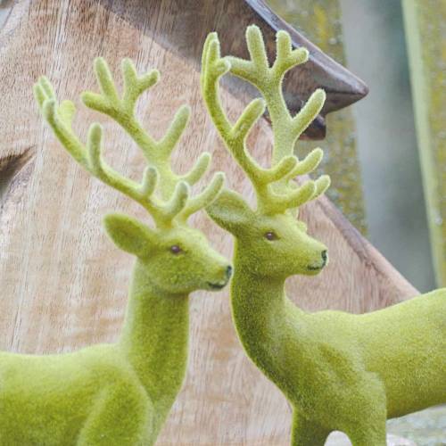 Floristik24 Decorative reindeer flocked moss green 20cm 2 pcs