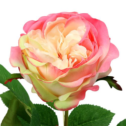 Floristik24 Deco rose pink Ø10cm 52cm 3pcs