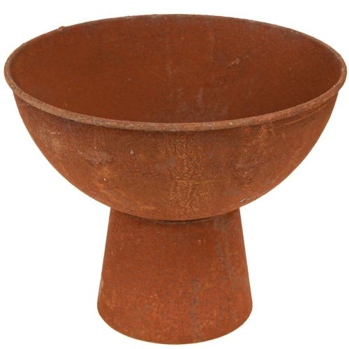 Floristik24 Decorative bowl with foot trophy bowl rust metal Ø20.5cm 2pcs