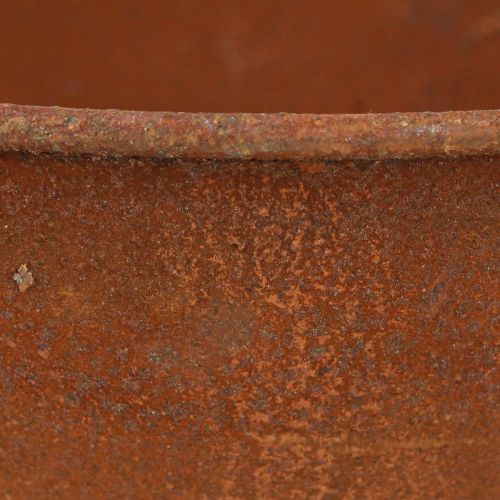 Floristik24 Decorative bowl with foot trophy bowl rust metal Ø20.5cm 2pcs