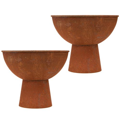 Floristik24 Decorative bowl with foot trophy bowl rust metal Ø20.5cm 2pcs