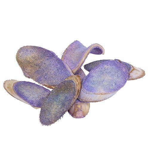 Floristik24 Decorative slices light purple 300g