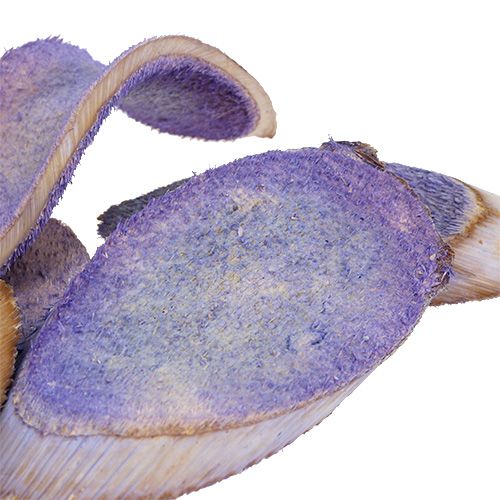Floristik24 Decorative slices light purple 300g