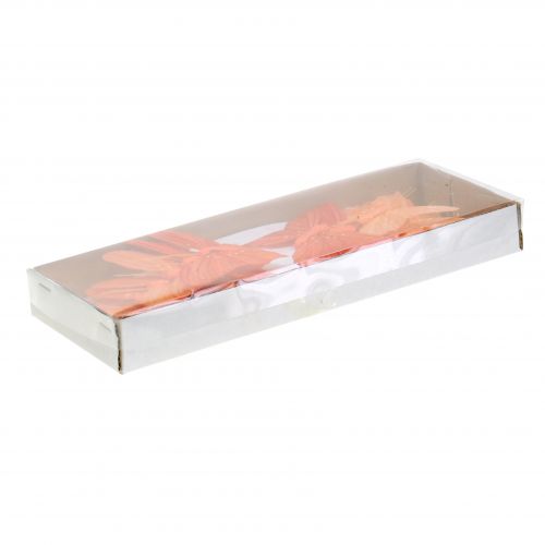 Floristik24 Decorative butterfly orange 12pcs