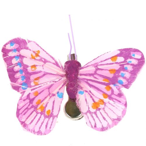 Floristik24 Decorative butterflies on the clip, assorted colors 6cm 24pcs