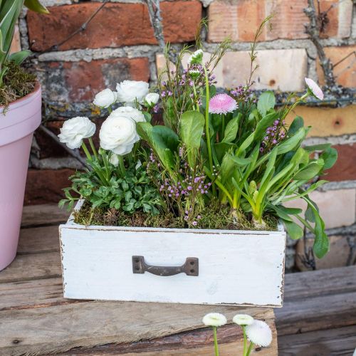 Floristik24 Decorative drawer white plant box wood vintage look 25×13×8cm