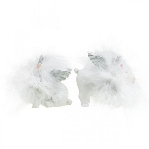 Floristik24 Deco pig with crown figure lucky pig white 7cm 2pcs