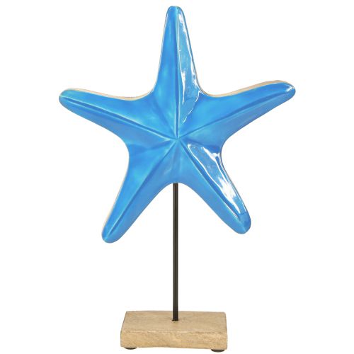 Floristik24 Decorative starfish on base wood natural blue Ø22cm H32cm