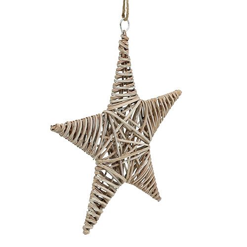 Floristik24 Decorative star to hang 25cm from vine 1pc