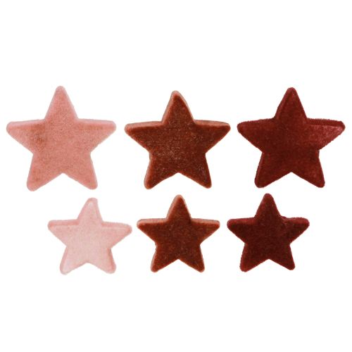 Floristik24 Decorative stars flocked scatter decoration Burgundy Brown Ø4/5cm 40 pcs