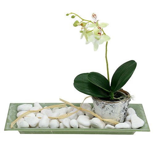 Floristik24 Decorative tray green 28cm x 12cm