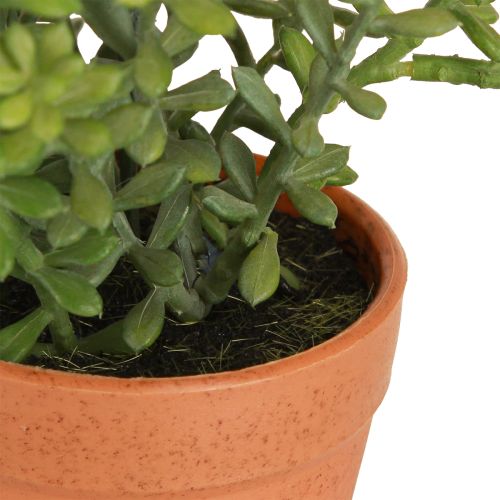 Product Decorative Thyme in Pot Artificial Herbs Kitchen Decoration 25cm