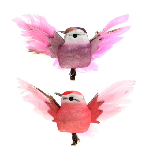 Floristik24 Decorative birds on clip pink / purple 9cm 8pcs