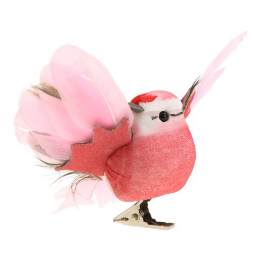 Floristik24 Decorative birds on clip pink / purple 9cm 8pcs