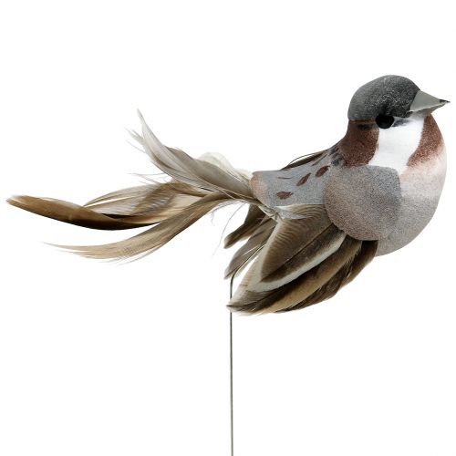 Floristik24 Decorative bird gray, brown 8.5cm 12pcs
