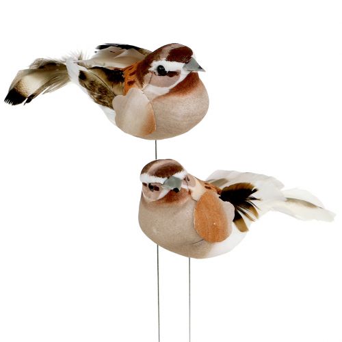 Floristik24 Decorative bird to stick brown 10cm 12pcs