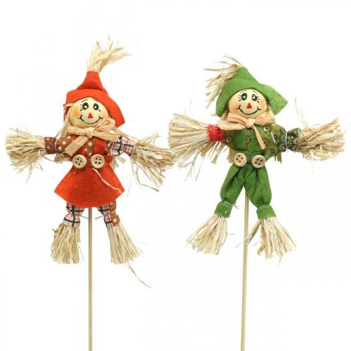 Floristik24 Scarecrow decoration 17cm assorted colors L33cm 16 pcs