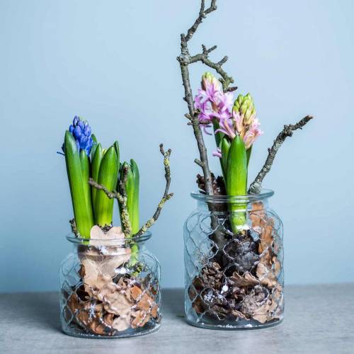 Floristik24 Glass vase diamond pattern, lantern, decorative glass vessel, table decoration 2pcs