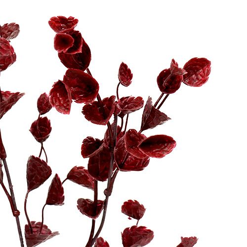 Floristik24 Deco branch dark red 74cm 6pcs